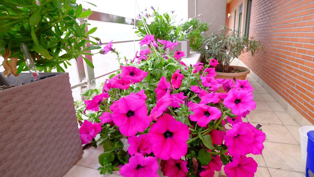 Apartamento Galeria Tirana